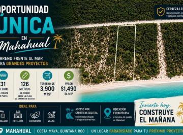 Terreno / Lote · 3900m² · Terreno en Carretera Federal Tulum – Punta Alen; Quintana Roo Referencia Xamach