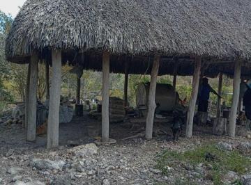 3ee946468aa3ea22ce6f6bee23123db6665508a86c93a267b9014bd9f8b426e3 · Rancho de 40 Hectáreas Cerca de Izamal y de Tizimín en Cenotillo Yucatán