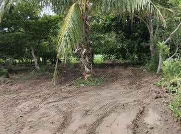 a7ca85fea0e3abf5bdf2fb68186c42ffb56db849a86803279bce500e02fd85d9 · Terreno en Venta en Veracruz en Calle Principal a Playa en El Zapote