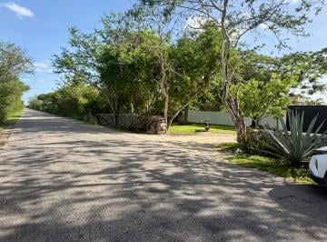 Terreno / Lote , Mérida · Terreno en Venta en Sierra Papacal a 50 m de La Carretera