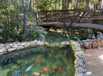 Terreno / Lote , Benito Juárez · Terreno en Venta en Desarrollo Ciudad Cenote (Ruta de Los Cenotes)