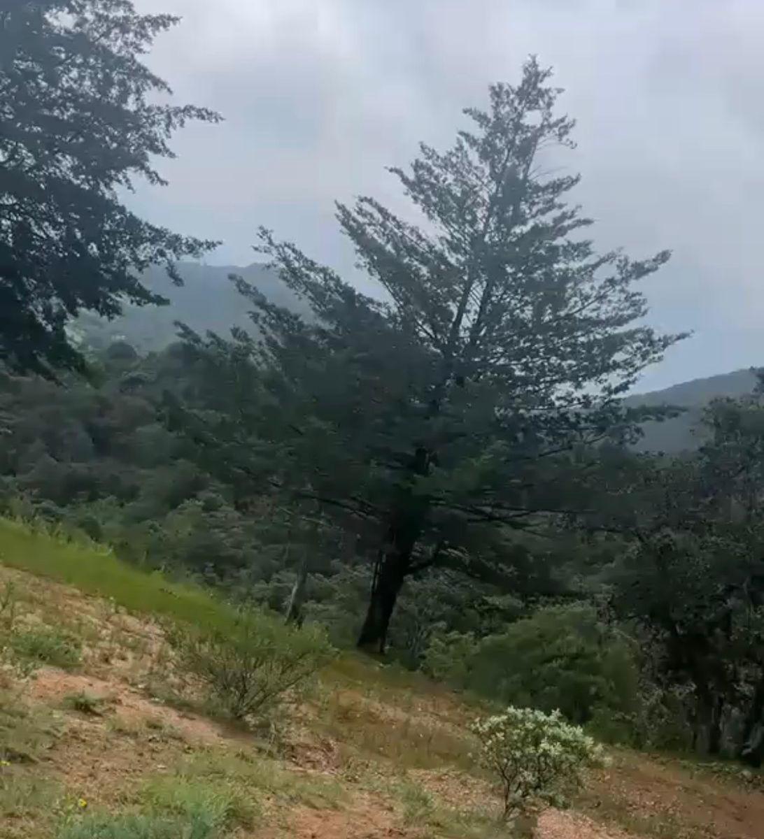Land for Sale in Tlalpujahua