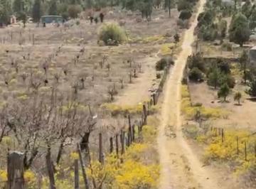 1 · Rancho Recreativo en Venta – Sierra de Arteaga (Ejido Rancho Nuevo)