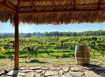 1 · Terreno en Venta en del Marquez, Parras, Coahuila de Zaragoza