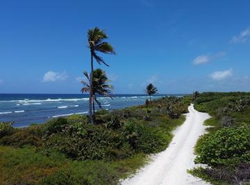Terreno / Lote · 600m² · Terreno Frente Al Mar en Mahahual