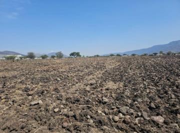 Terreno / Lote , Jocotepec · Carretera a Jocotepec. Terreno Agrícola de 29,000 m² con Gran Potencial Para Uso de Suelo Mixto