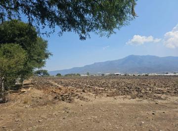 Terreno / Lote , Jocotepec · Carretera a Jocotepec. Terreno Agrícola de 29,000 m² con Gran Potencial Para Uso de Suelo Mixto