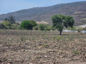 Terreno / Lote , Jocotepec · Carretera a Jocotepec. Terreno Agrícola de 29,000 m² con Gran Potencial Para Uso de Suelo Mixto