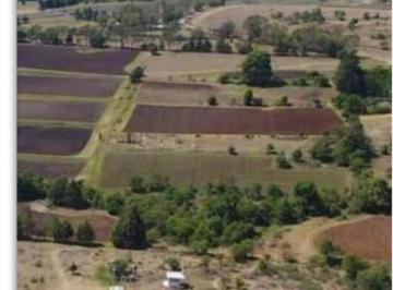 Terreno comercial , Jilotepec · Venta de Terreno de 32 Ha en Jilotepec Edo. Mex.