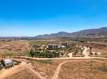 Rancho · 1098m² · 4 Recámaras · Cava Dragon - a Rare Boutique Winery Estate in The Heart Of mexico'S Wine Country - (4)