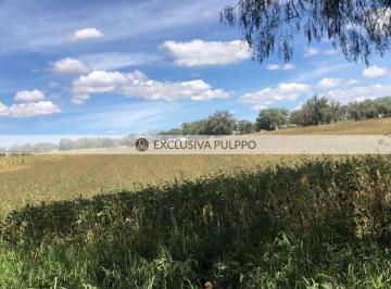 Terreno / Lote · 13000m² · Terreno Residencial en Venta en San Sebastián