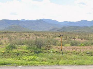 Terreno / Lote · 80000m² · Terreno en Ocampo