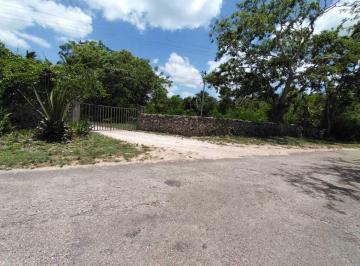 79a2684e45283876474f24092913f93b2865e29bba69ed869bfa232de551e35d · Rancho Cerca de Tizimín, en Espita Yucatán Pueblo Mágico Orilla de Carretera