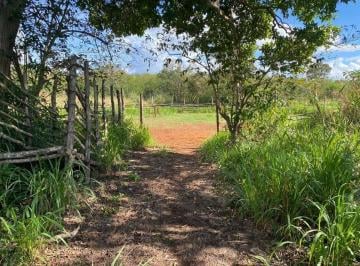 51883eb8e88517e659ea8282c7cc872a328421f6d1d713615d39ab3c848533e6 · Rancho en Cantamayec 374 Ha Propiedad Privada