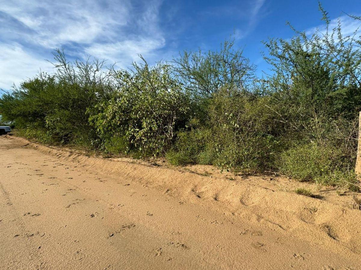 Land for Sale in El Madrigal