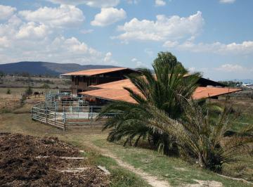 Rancho de 1 habitación, Jilotepec · Oportunidad de Inversión en Jilotepec, Estado de México