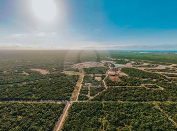 IMG-20251201-WA0031.jpg · Terreno Residencial en Venta en Privada Campestre Chuburna