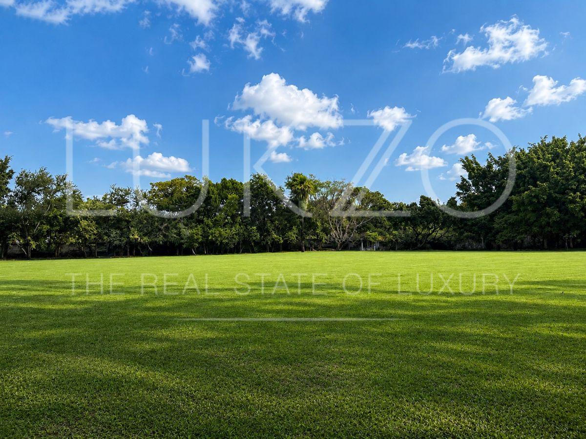 Land Plot of 52,131 m&sup2; for Sale in Tetecalita Village, Morelos