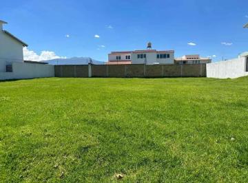 Terreno / Lote · 1000m² · Venta de Lote de Terreno Dentro de Privada en Rancho El Mesón en Calimaya