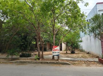 Terreno / Lote · 360m² · Terreno Grande en Venta 3 Lotes Juntos en Sm 50