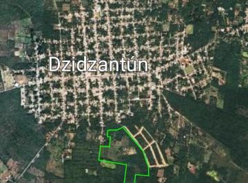 Terreno / Lote · 250000m² · Terreno en Pueblo Dzidzantun