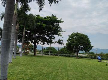 Departamento de 3 habitaciones, Emiliano Zapata · Departamento en Renta en Paraíso Country Club