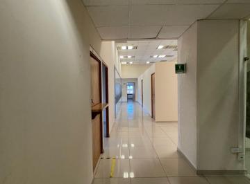 Oficina · 1035m² · Oficinas en Renta | Colonia Juárez, Hamburgo – Cdmx - (4)