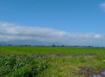 Terreno / Lote , Ixtlahuacán de los Membrillos · Se Vende Excelente Terreno Agricola 34 Hectáreas Atotonilquillo Jalisco