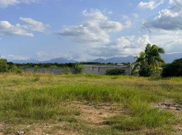 Terreno / Lote · 1000m² · Terreno en Montemorelos