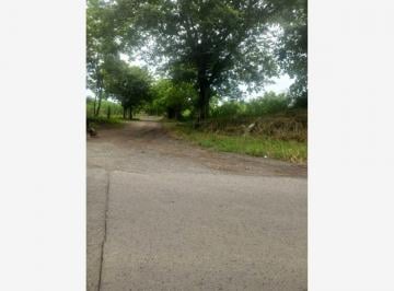 1 · Finca - Rancho en Venta en Manlio Fabio Altamirano, Manlio Fabio Altamirano, Veracruz de Ignacio de La