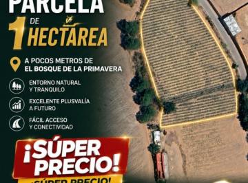 Terreno / Lote , Zapopan · Terreno de 10000 m² en Venta en La Venta del Astillero