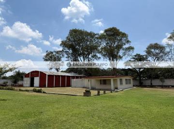 IMG-20250602-WA0016.jpg · Finca en Venta en 6a Mza. San Miguel de La Victoria
