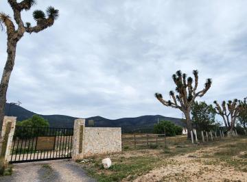 Terreno / Lote , Arteaga · Lotes Campestres en Venta en Fracc. La Montaña