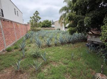 Terreno / Lote , Villa Corona · Terreno en Renta en Villacorona Jalisco