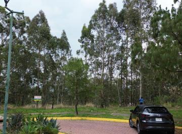 Terreno / Lote , Tlajomulco de Zúñiga · Terrenos de Oportunidad en El Palomar