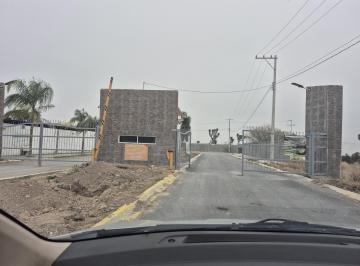 Terreno / Lote · 1650m² · Terrenoexcelente Terreno en Venta (1,650 M&sup2;) | Salinas Victoria