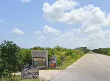 Terreno / Lote , Ixil · Terreno en Venta a 200 m del Mar de San Benito Yucatan