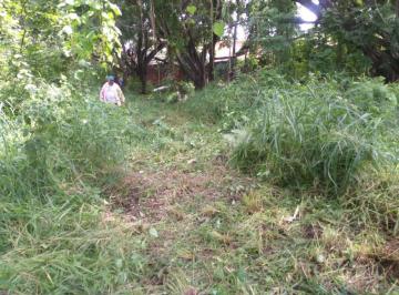 Terreno / Lote , Temixco · Venta de Terreno con Arboles Frutales en Brisas