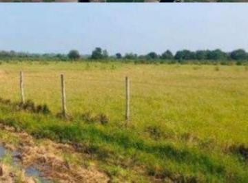 Terreno / Lote , Pánuco · Subasta Cesion de Derechos