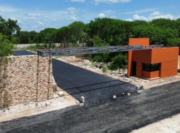 Terreno / Lote · 318m² · Terrenos en Venta Ubicados en Dzityá