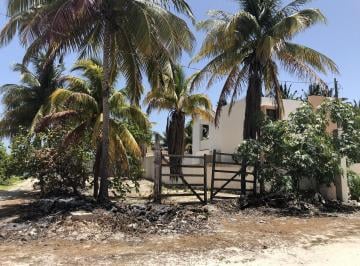 Terreno / Lote , Sinanché · Terreno Playa San Crisanto Municipio Sinanche Primera Fila