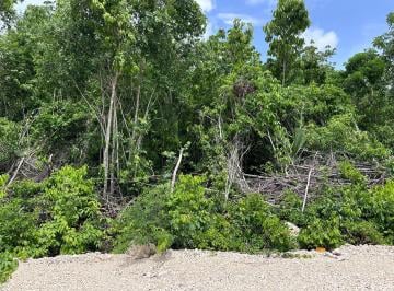 Terreno / Lote · 480m² · Venta de Terreno Ejidal en Zona Sur de Cancún