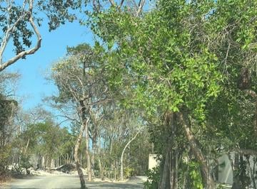 IMG_7053.jpg · Terreno Residencial en Venta en Villas Tulum