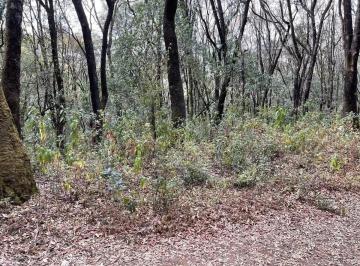 1 · Terreno en Venta en Santa Ana Jilotzingo