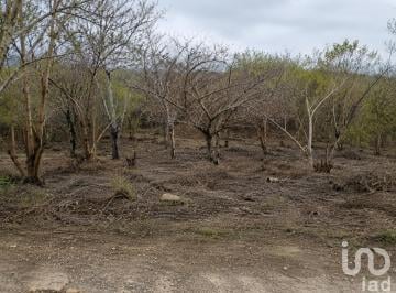 Terreno / Lote · 600m² · Lote Comunal en Venta, El Coyote, San Pedro Pochutla, a 2.4 Km Lineales de La Playa Barra Cuatunalco