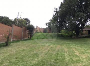 Rancho · 13319m² · 5 Recámaras · 29 Estacionamientos · Finca en Venta en Buenavista