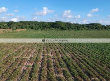 Terreno / Lote · 450000m² · Terreno Residencial en Venta en Pueblo Santa Maria Tonameca