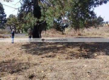 Terreno / Lote · 11300m² · Terreno Residencial en Venta en Centro