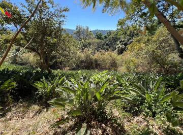 Terreno / Lote , Valle de Bravo · Terreno en Venta en Pipioltepec Valle de Bravo