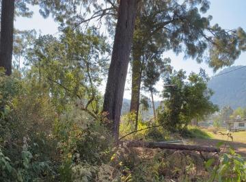 Terreno / Lote , Valle de Bravo · Bosquecito Privado en Cerro Gordo, Terreno en Venta en Cerro Gordo